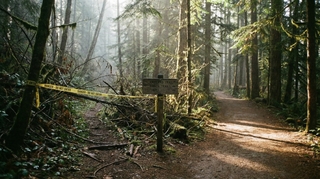 The Best (and Safest) OpenClaw Alternative in 2026